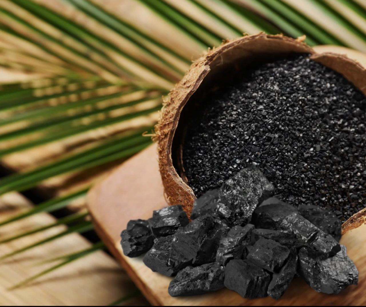 Coconut shell filled with activated carbon and charcoal pieces