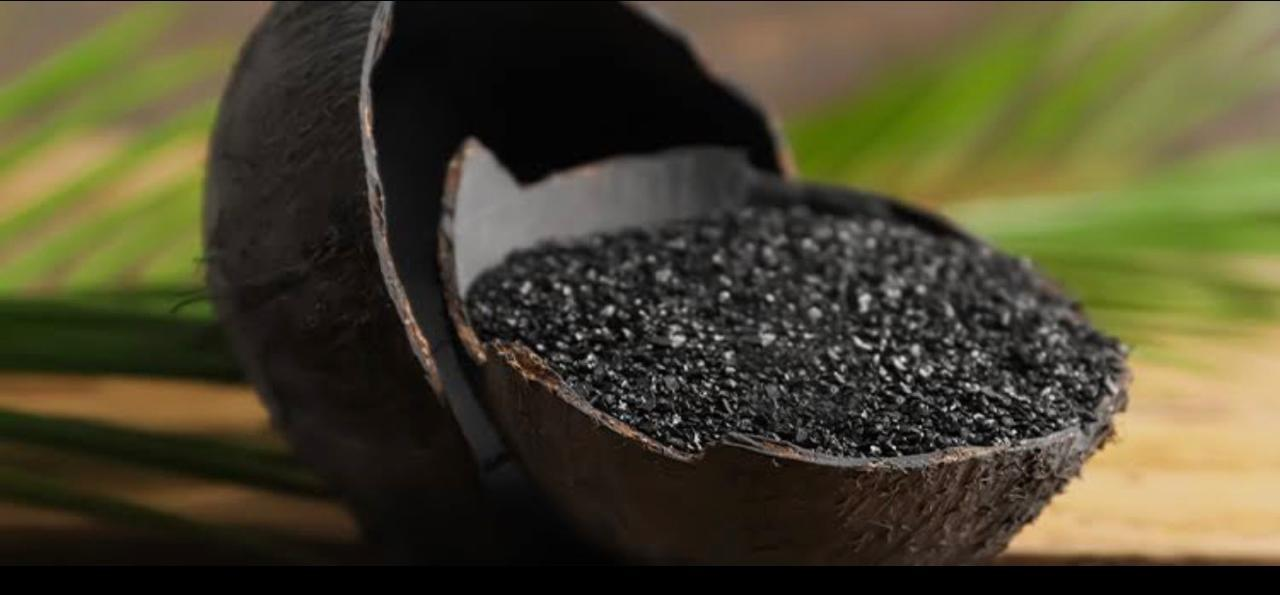 Activated carbon granules in a coconut shell